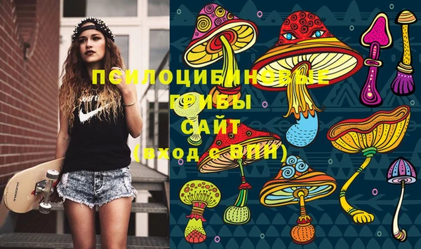 apvp Кукмор
