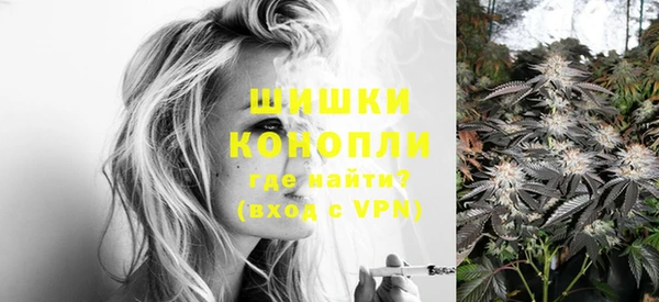 амф Кулебаки