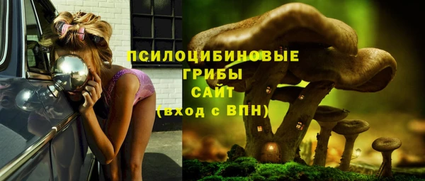 PSILOCYBIN Верхний Тагил